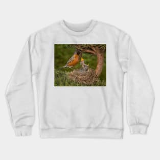 American Robin Feeding Chicks Crewneck Sweatshirt